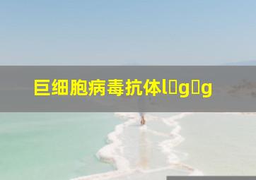 巨细胞病毒抗体l g g